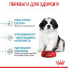 Набір для цуценят Royal Canin Giant Puppy 1 кг + 5 шт Educ 50 г