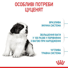 Набір для цуценят Royal Canin Giant Puppy 1 кг + 5 шт Educ 50 г