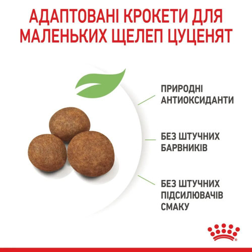 Набір для цуценят Royal Canin Giant Puppy 1 кг + 5 шт Educ 50 г