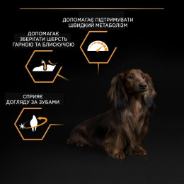 Сухий корм для дорослих собак дрібних порід Pro Plan Adult Small & Mini 7 кг (курка)