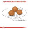 Сухий корм для дорослих собак дрібних порід Royal Canin X-Small Adult 1,5 кг + контейнер у подарунок - домашня птиця