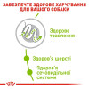 Сухий корм для дорослих собак дрібних порід Royal Canin X-Small Adult 1,5 кг + контейнер у подарунок - домашня птиця