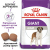 Сухий корм для дорослих собак гігантських порід Royal Canin Giant Adult 15 кг - домашня птиця