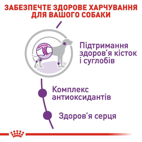 Сухий корм для соба Royal Canin Giant Adult 12 кг + 3 кг - домашня птиця