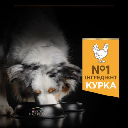 Сухий корм для дорослих собак середніх порід Pro Plan Adult Medium 14 кг (курка)