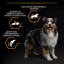 Сухий корм для дорослих собак середніх порід Pro Plan Adult Medium 14 кг (курка)