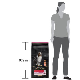 Сухий корм для собак ProPlan Medium Sensitive Skin 14 кг - лосось