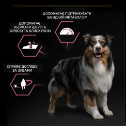 Сухий корм для собак ProPlan Medium Sensitive Skin 14 кг - лосось