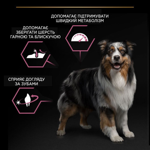 Сухий корм для собак ProPlan Medium Sensitive Skin 14 кг - лосось