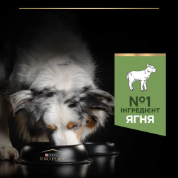 Сухий корм для собак ProPlan Medium Sensitive 3 кг - ягня