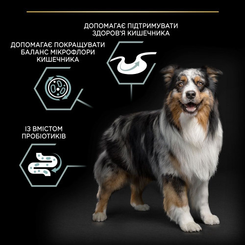 Сухий корм для собак ProPlan Medium Sensitive 3 кг - ягня