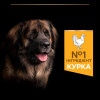 Сухий корм для собак Purina Pro Plan Large Robust Adult 14кг - домашня птиця