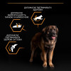 Сухий корм для собак Purina Pro Plan Large Robust Adult 14кг - домашня птиця