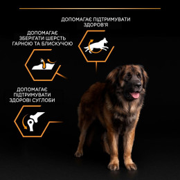 Сухий корм для собак Purina Pro Plan Large Robust Adult 14кг - домашня птиця