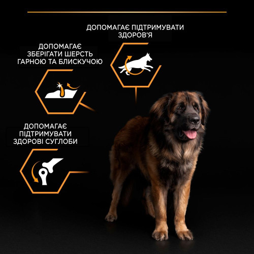 Сухий корм для собак Purina Pro Plan Large Robust Adult 14кг - домашня птиця