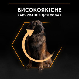 Сухий корм для собак Purina Pro Plan Large Robust Adult 14кг - домашня птиця