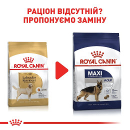 Сухий корм для дорослих собак великих порід Royal Canin Labrador Retriever Adult 12 кг - домашня птиця