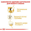 Сухий корм для дорослих собак великих порід Royal Canin Labrador Retriever Adult 12 кг - домашня птиця