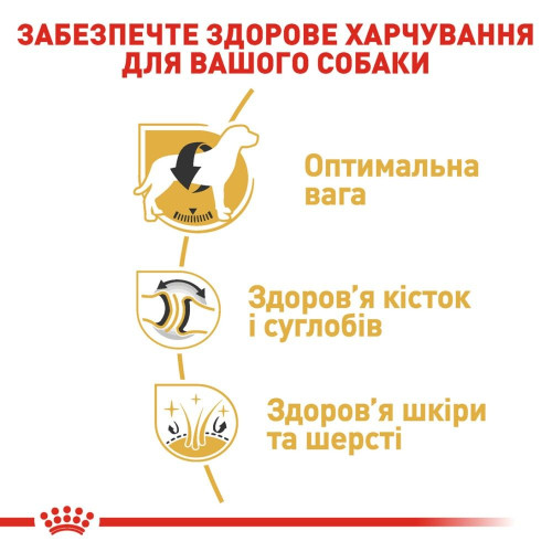 Сухий корм для дорослих собак великих порід Royal Canin Labrador Retriever Adult 12 кг - домашня птиця