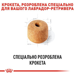 Сухий корм для дорослих собак великих порід Royal Canin Labrador Retriever Adult 12 кг - домашня птиця