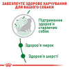 Сухий корм для літніх собак малих порід Royal Canin Mini Ageing 12+, 1,5 кг - домашня птиця