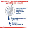 Сухий корм для собак Royal Canin Maxi Ageing 8+, 15 кг - домашня птиця