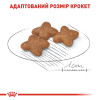 Сухий корм для собак дрібних порід Royal Canin Mini Adult 8 кг - домашня птиця