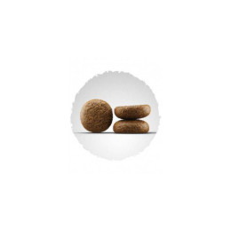 Сухий корм для собак Josera Active Nature Adult 12,5 кг - ягня