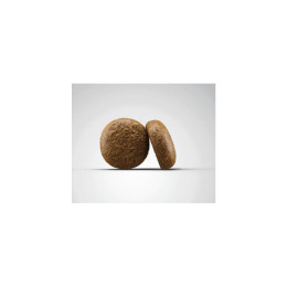 Сухий корм для собак Josera Grainfree Adult 15 кг - ягня та батат
