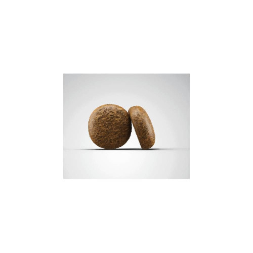 Сухий корм для собак Josera Grainfree Adult 15 кг - ягня та батат