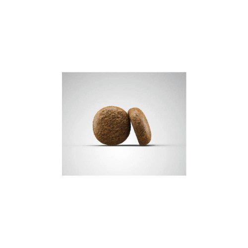 Сухий корм для собак Josera Hypoallergenic Adult 900 г - комахи