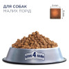 Сухий корм для собак малих порід Club 4 Paws Premium 2 кг (курка)