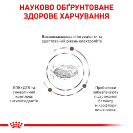 Сухий корм для собак, при захворюваннях шлунково-кишкового тракту Royal Canin Gastro Intestinal Low Fat 12 кг - домашня птиця