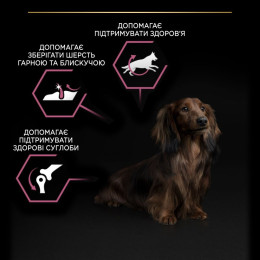 Сухий корм для собак Purina Pro Plan Small & Mini Sensitive 7 кг - лосось