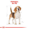 Сухий корм для собак Royal Canin Beagle Adult 3 кг - домашня птиця