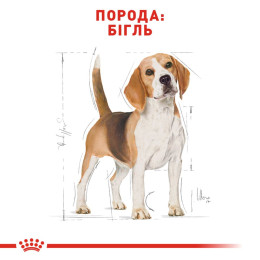 Сухий корм для собак Royal Canin Beagle Adult 3 кг - домашня птиця
