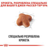 Сухий корм для собак Royal Canin Jack Russel Adult 1,5 кг - домашня птиця