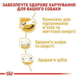 Сухий корм для собак Royal Canin Jack Russel Adult 1,5 кг - домашня птиця