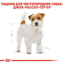 Сухий корм для собак Royal Canin Jack Russel Adult 1,5 кг - домашня птиця