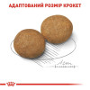Сухий корм для собак Royal Canin Medium Adult 4 кг - домашня птиця