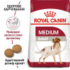 Сухий корм для собак Royal Canin Medium Adult 4 кг - домашня птиця