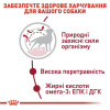 Сухий корм для собак Royal Canin Medium Adult 4 кг - домашня птиця
