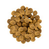 Сухий корм для собак Savory Medium Breed Fresh 12 кг - індичка та ягня