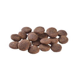 Сухий корм для собак Brit Care Dog Hypoallergenic Adult Large Breed 12 кг - ягня