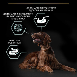 Сухий корм для собак Pro Plan Large Athletic 14 кг - ягня