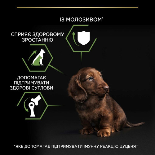 Сухий корм для цуценят та молодих собак Pro Plan Puppy Small & Mini 7 кг - курка