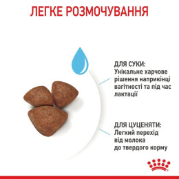Сухий корм для цуценят мініатюрних порід Royal Canin Mini Starter 8 кг - домашня птиця