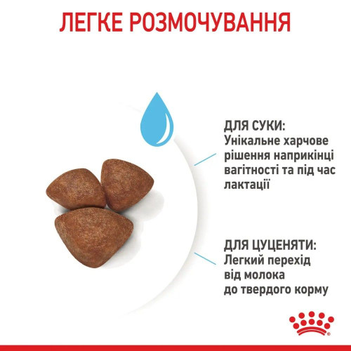 Сухий корм для цуценят мініатюрних порід Royal Canin Mini Starter 8 кг - домашня птиця