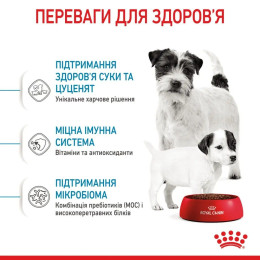 Сухий корм для цуценят мініатюрних порід Royal Canin Mini Starter 8 кг - домашня птиця