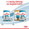 Сухий корм для цуценят мініатюрних порід Royal Canin Mini Starter 8 кг - домашня птиця